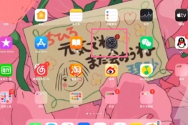 ipad电池寿命怎么查